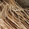 raffia